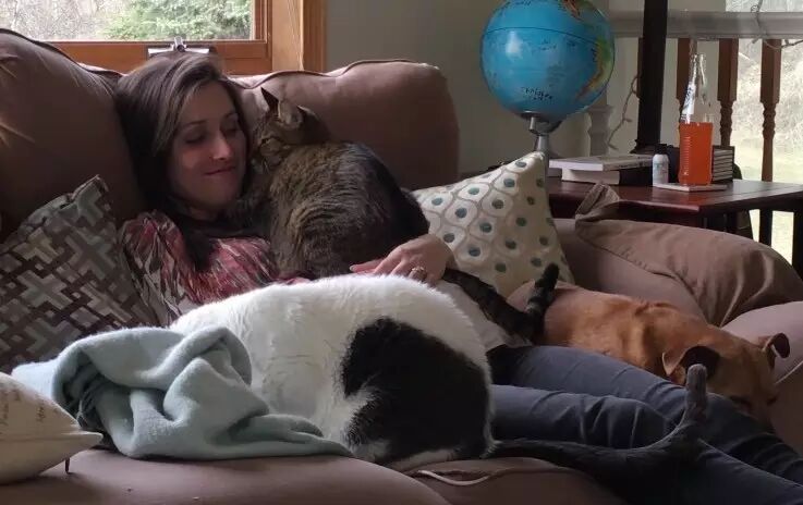 不要因为怀孕就抛弃我!-怀孕期