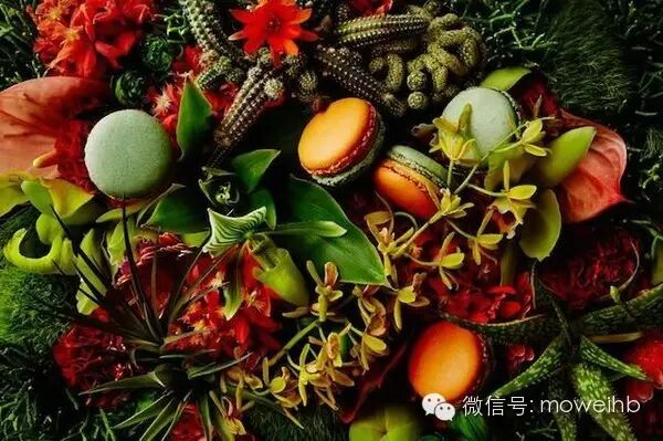 馬卡龍太甜了？那是因為你的吃法不合錯誤啊 美食 第5張