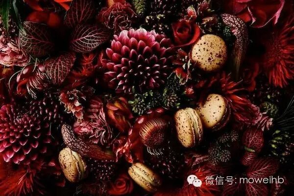 馬卡龍太甜了？那是因為你的吃法不合錯誤啊 美食 第1張