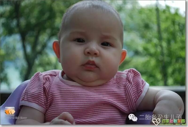 来自丫丫分享备孕儿子成功经验:幸运偏向有努力的人-怀孕期