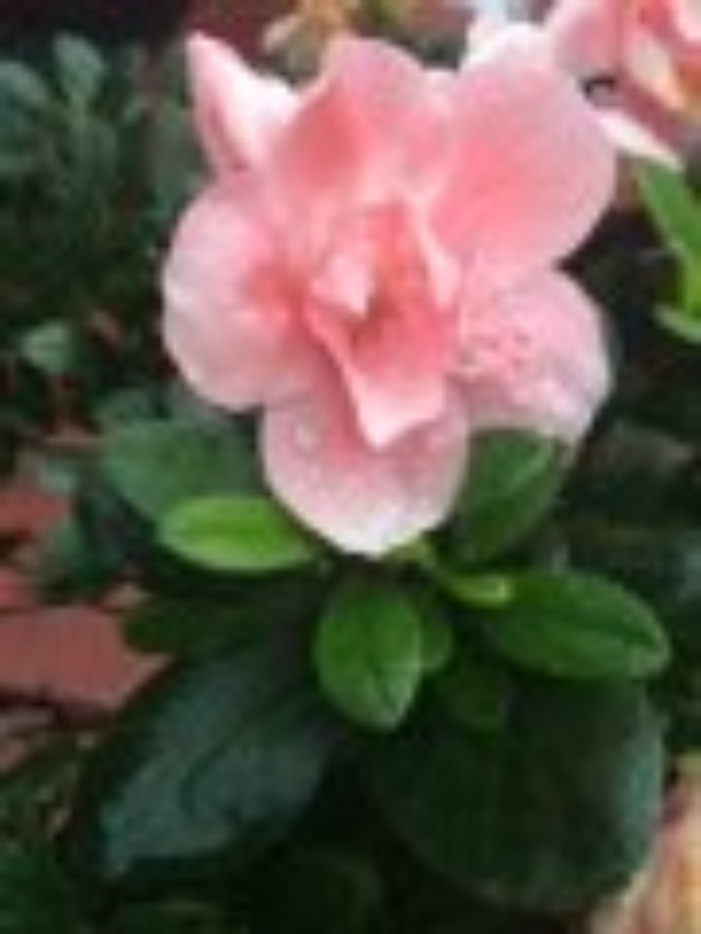 Cassie:拍下漂亮的风景,以后老了拿出来回忆!