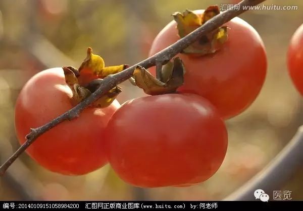 柿子同样属于典型的寒凉水果,摄入过多,这也会直接造成刺激子宫收缩