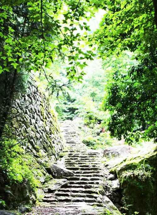 穹岭古道,温州十大森林古道之一,也是浙江最美的古道,就位于怀溪镇