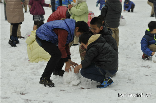 老田重磅直击：沈阳市南京一校长白岛分校竟然这样教育孩子！