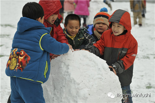 老田重磅直击：沈阳市南京一校长白岛分校竟然这样教育孩子！