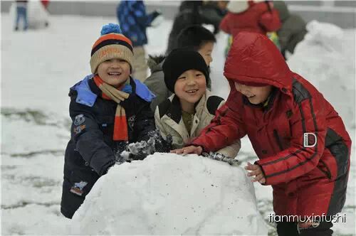 老田重磅直击：沈阳市南京一校长白岛分校竟然这样教育孩子！