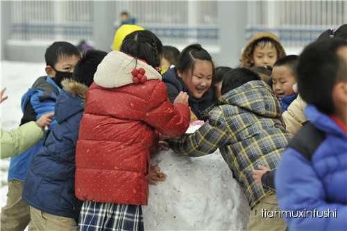 老田重磅直击：沈阳市南京一校长白岛分校竟然这样教育孩子！
