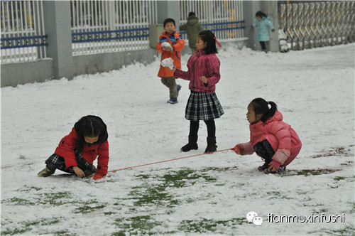 老田重磅直击：沈阳市南京一校长白岛分校竟然这样教育孩子！