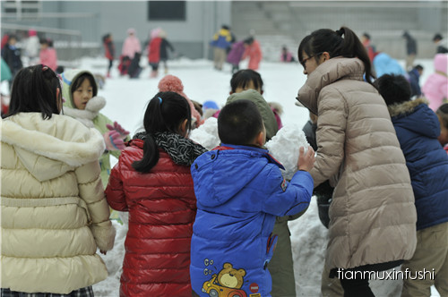 老田重磅直击：沈阳市南京一校长白岛分校竟然这样教育孩子！