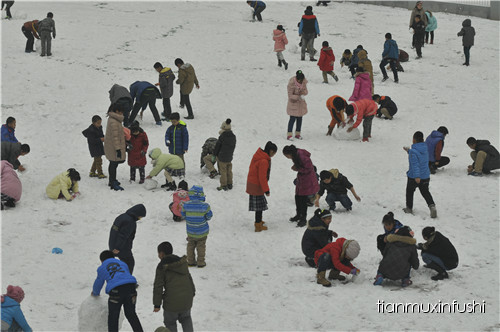 老田重磅直击：沈阳市南京一校长白岛分校竟然这样教育孩子！
