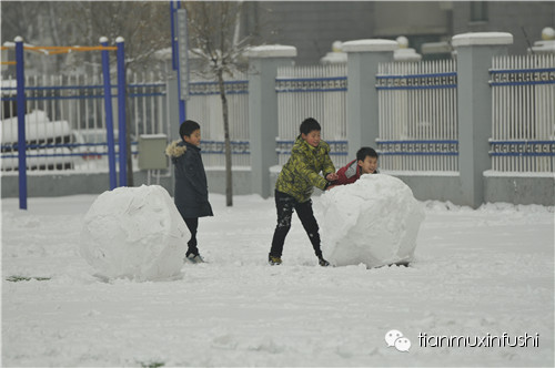 老田重磅直击：沈阳市南京一校长白岛分校竟然这样教育孩子！