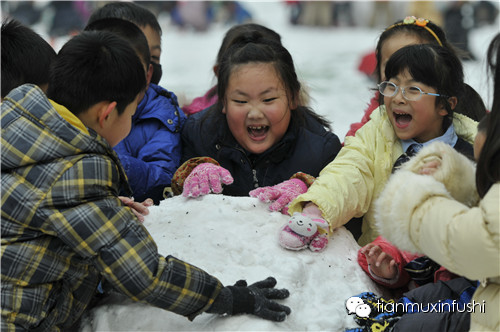 老田重磅直击：沈阳市南京一校长白岛分校竟然这样教育孩子！