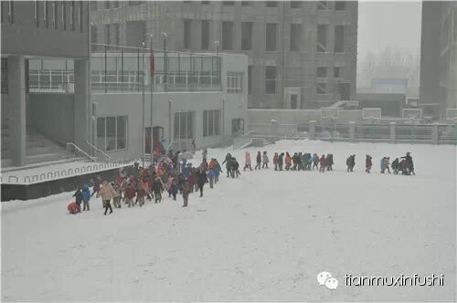 老田重磅直击：沈阳市南京一校长白岛分校竟然这样教育孩子！