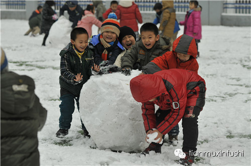 老田重磅直击：沈阳市南京一校长白岛分校竟然这样教育孩子！