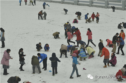老田重磅直击：沈阳市南京一校长白岛分校竟然这样教育孩子！