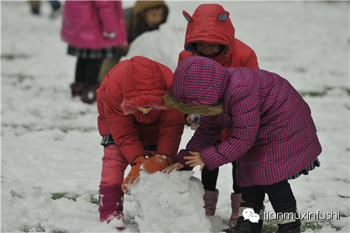 老田重磅直击：沈阳市南京一校长白岛分校竟然这样教育孩子！
