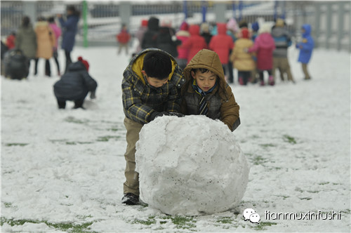 老田重磅直击：沈阳市南京一校长白岛分校竟然这样教育孩子！