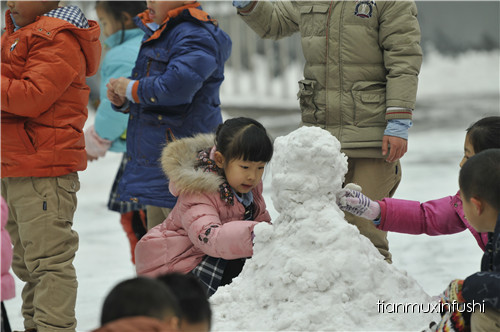 老田重磅直击：沈阳市南京一校长白岛分校竟然这样教育孩子！