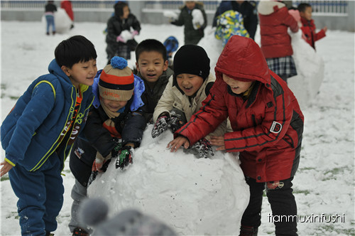老田重磅直击：沈阳市南京一校长白岛分校竟然这样教育孩子！