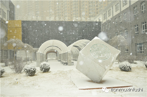 老田重磅直击：沈阳市南京一校长白岛分校竟然这样教育孩子！