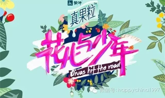 毛阿敏综艺处女秀献《花儿与少年》  歌坛传奇这回当会计?