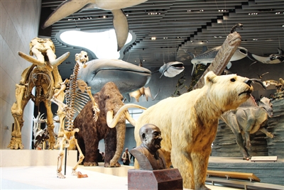 探索生命的奇迹,上海首个主题制自然博物馆等着你!