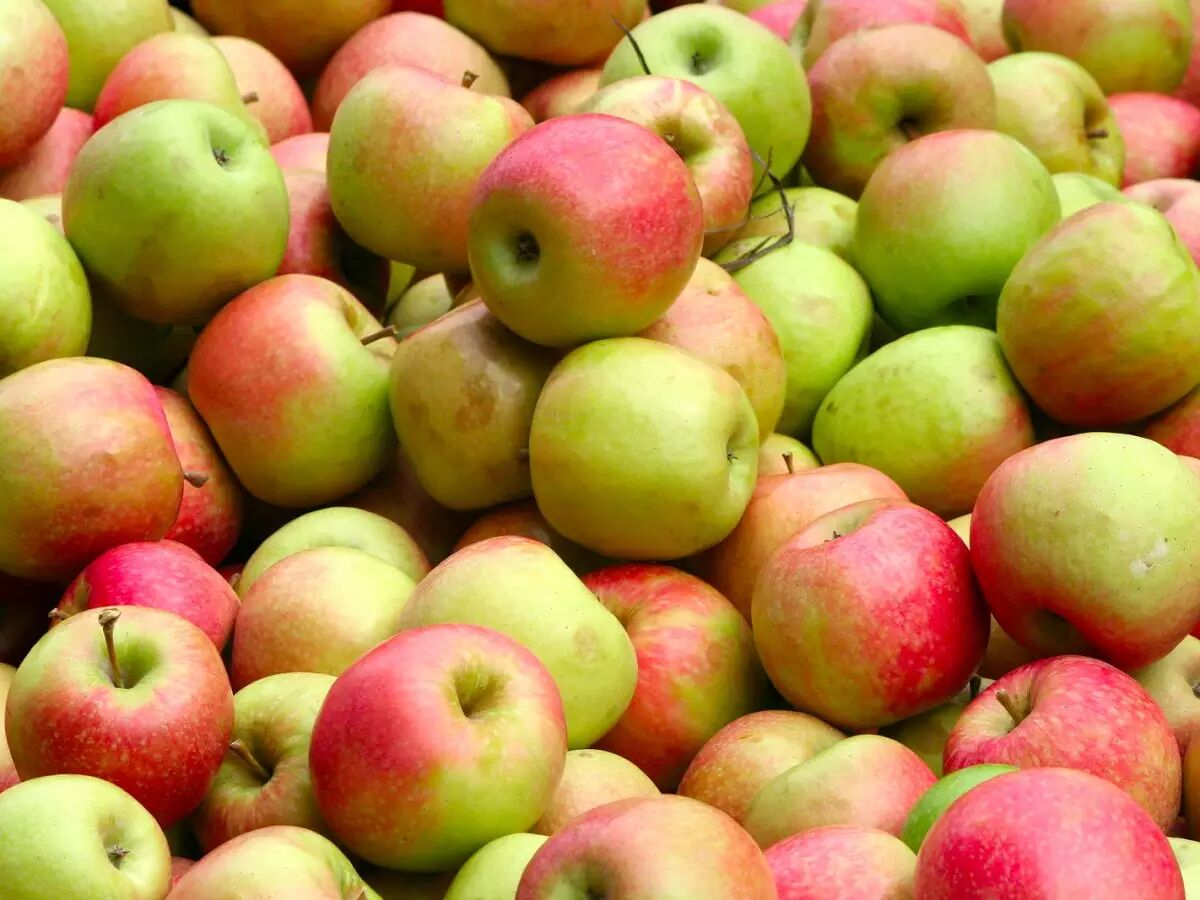 苹果员工折扣_企业员工购买苹果折扣_中国苹果员工折扣