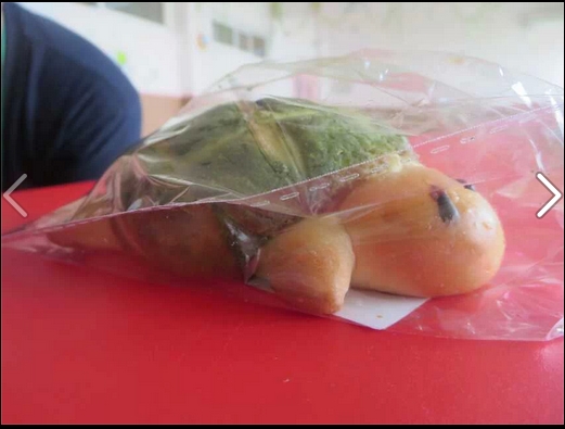 20140530善工家园一周服务摘录