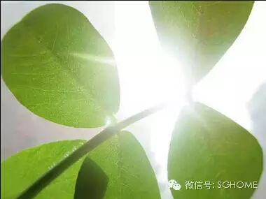 20140523感谢社会支持，分享一周生活