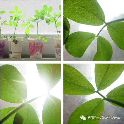 20140523感谢社会支持，分享一周生活