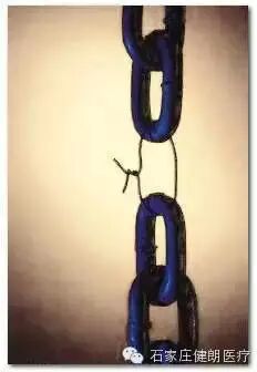 腰痛的悬吊训练方法(图1)