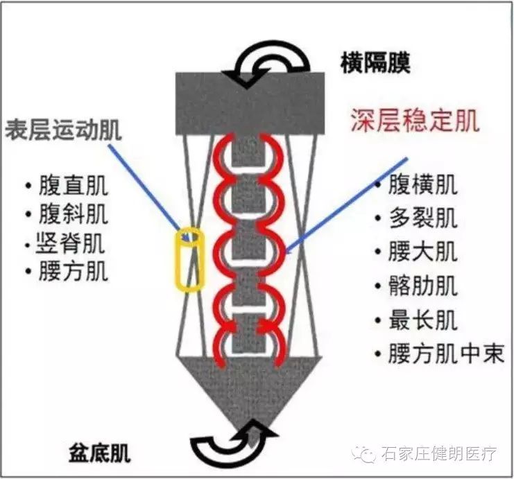 【悬吊训练疗法】主动康复新理念——治疗颈肩腰腿痛、下背痛、 颈椎病、腰椎间盘突出！！！(图4)