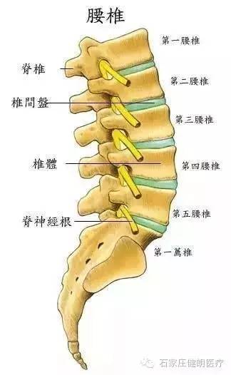 悬吊康复训练系统缓解中老年人的颈腰综合征(图4)