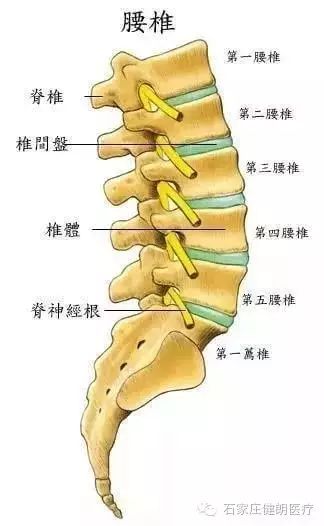 悬吊康复训练系统缓解中老年人的颈腰综合征(图4)