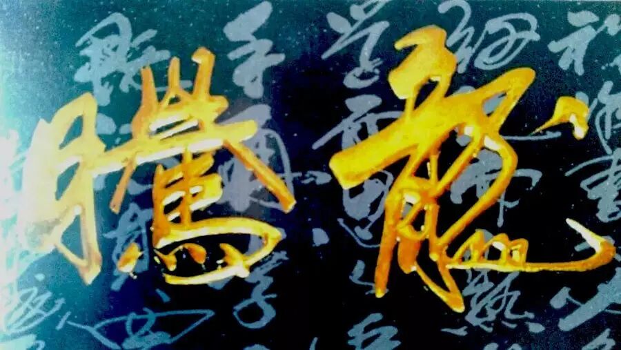 中国教育得失:成龙与成虫的此起彼伏