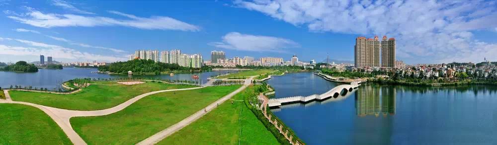 谁在"欺负"阳江鸳鸯湖景区的鱼?近段时间,湖边漂浮不少死鱼