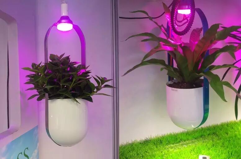 展讯丨氧搏仕亮剑光亚展，开创氧生灯蓝海新时代