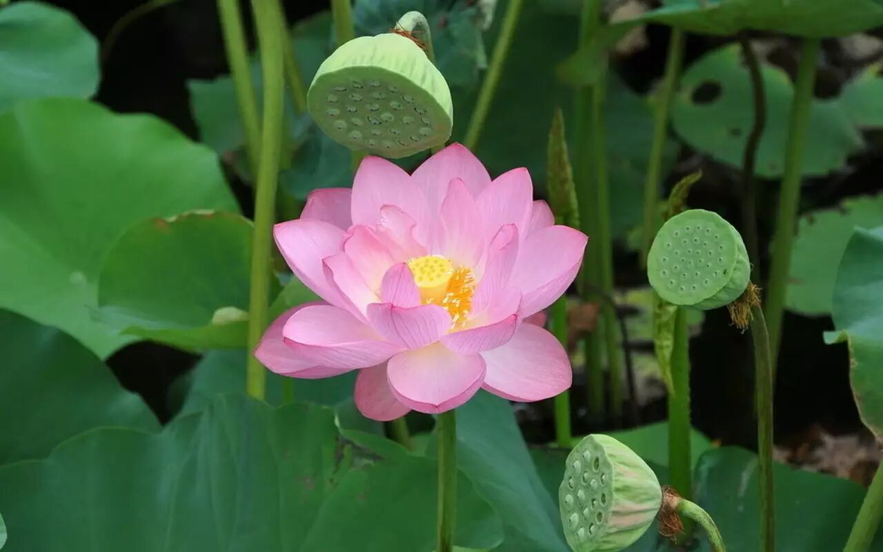 创意工坊 | 用创意设计讲个好故事（第一弹）