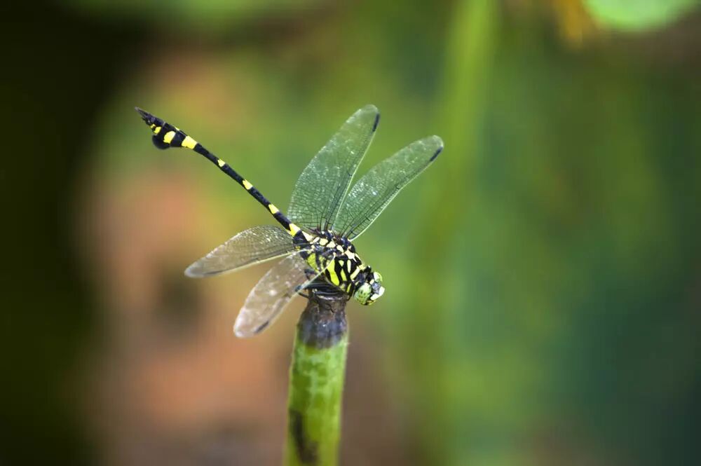 创意工坊 | 用创意设计讲个好故事（第一弹）