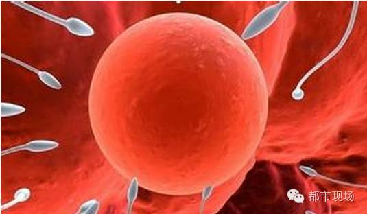 明明怀孕 宝宝在肚中凭空消失? 这件事江西准妈妈要小心-怀孕期