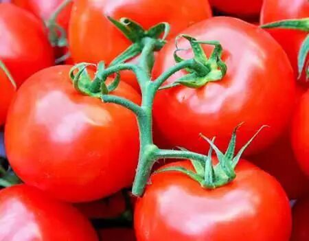 冰箱里不宜存放的10种食物,要牢记噢440 / 作者:恭城520小奈姐姐 / 帖子ID:112335 冰箱里不宜存放的10种食物,要牢记噢440 / 作者:恭城520小奈姐姐 / 帖子ID:112335