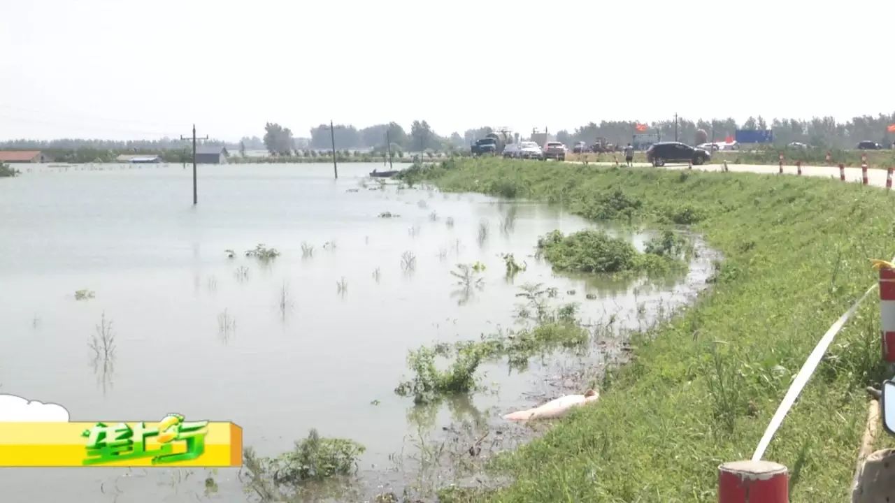 荆州:马子湖水位已齐平长湖习家口闸今天泄洪