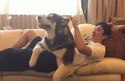 最网红的“运营狗”!居然是王思聪的……