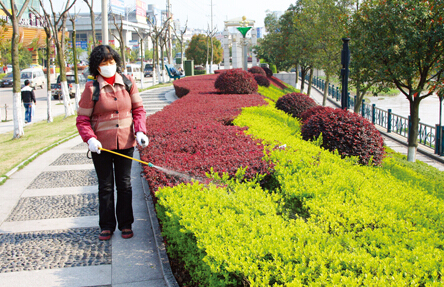 秋冬苗木栽植技術大解析 秋冬苗木栽植技術大解析