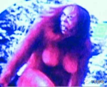 六百年怀孕女古尸产下7斤重活婴 震惊中国-怀孕期