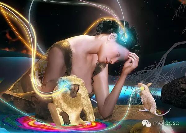 2016年度十大新兴技术出炉 你最看好哪个？