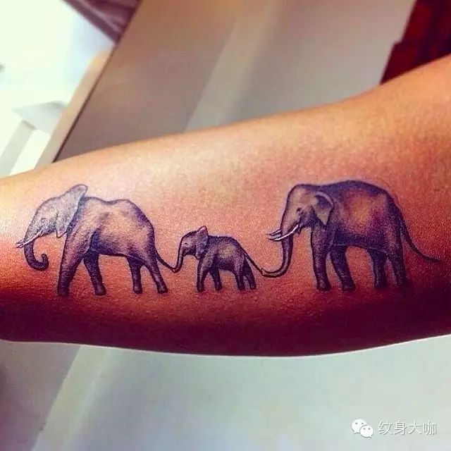 [纹身图案素材第110期] 动物象纹身素材_纹身百科