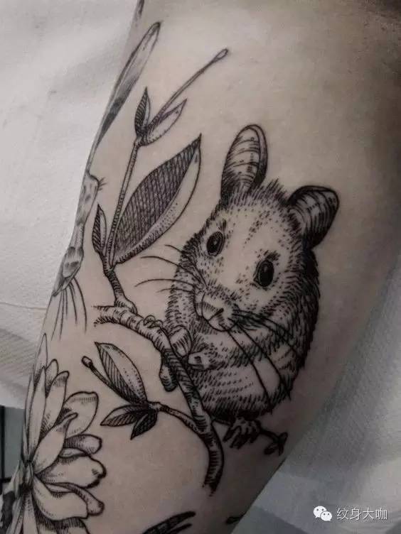 【纹身图案素材第233期】十二生肖—鼠_纹身百科 纹身大咖
