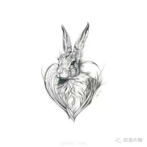 【纹身图案素材第237期】十二生肖—兔_纹身百科 - 大