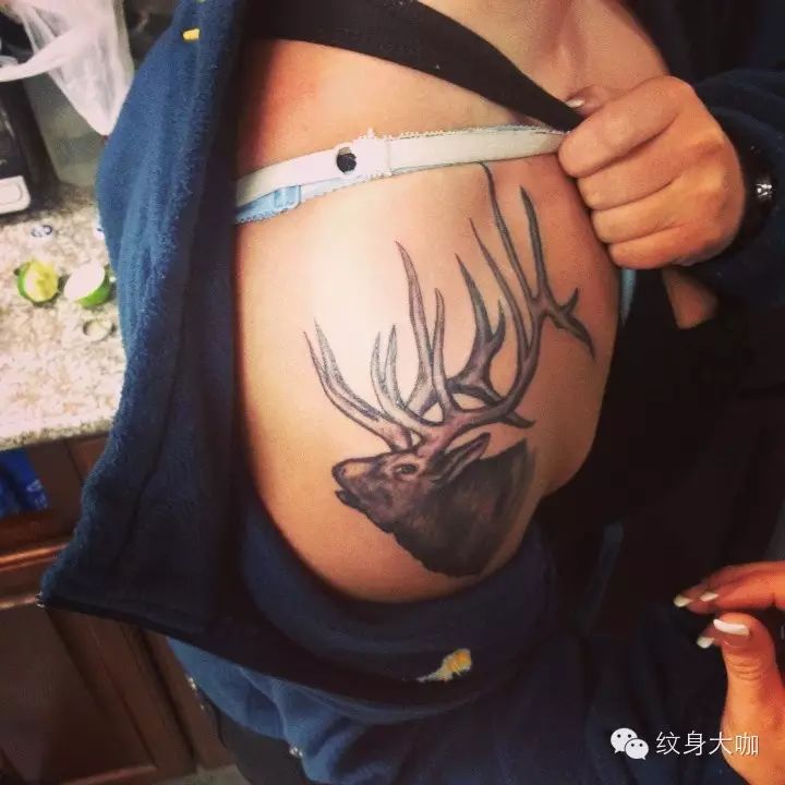 [纹身图案素材第118期] 麋鹿纹身素材_纹身百科 - 大
